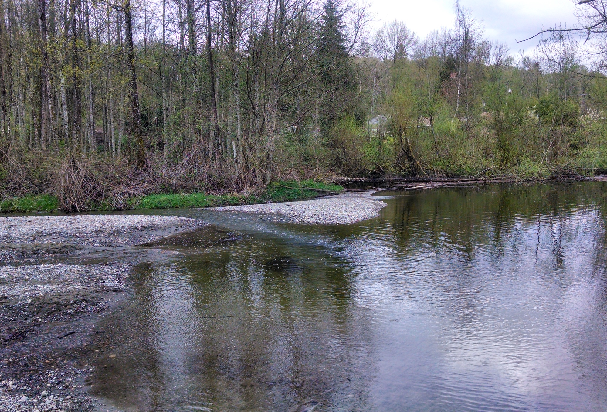 swan creek